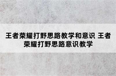 王者荣耀打野思路教学和意识 王者荣耀打野思路意识教学